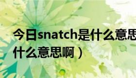 今日snatch是什么意思中文（snatch汉语是什么意思啊）