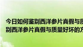 今日如何鉴别西洋参片真假与质量好坏的方法图片（如何鉴别西洋参片真假与质量好坏的方法）