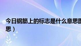 今日钢筋上的标志是什么意思图解（钢筋上的标志是什么意思）