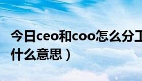 今日ceo和coo怎么分工（CEO和COO分别是什么意思）