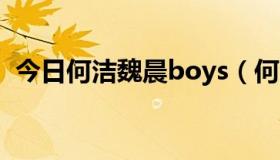 今日何洁魏晨boys（何洁魏晨他们相爱吗）