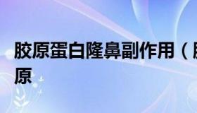 胶原蛋白隆鼻副作用（胶原蛋白隆鼻怎么样胶原