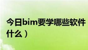 今日bim要学哪些软件（BIM软件学习该注意什么）