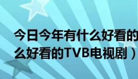 今日今年有什么好看的电视剧（2009年有什么好看的TVB电视剧）