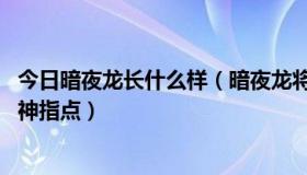 今日暗夜龙长什么样（暗夜龙将辅助好用还是龙将助手 求大神指点）