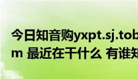 今日知音购yxpt.sj.tobaccohb.com.cn（sj m 最近在干什么 有谁知道）