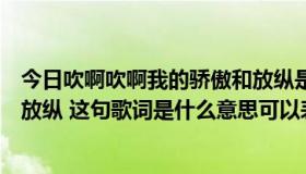 今日吹啊吹啊我的骄傲和放纵是什么歌（吹啊吹啊我的骄傲放纵 这句歌词是什么意思可以表达什么）