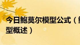 今日鲍莫尔模型公式（鲍莫尔模型的鲍莫尔模型概述）