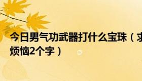 今日男气功武器打什么宝珠（求男气功武器、名字，最好带烦恼2个字）