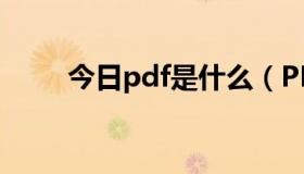 今日pdf是什么（PDF是什么东西）