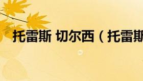 托雷斯 切尔西（托雷斯 切尔西 巴萨 欧冠