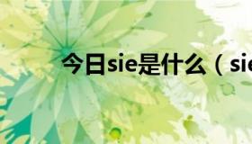 今日sie是什么（siege 什么意思）