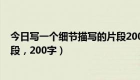 今日写一个细节描写的片段200字左右（描写一个细节的片段，200字）