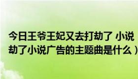 今日王爷王妃又去打劫了 小说（红袖读书中王爷王妃又去打劫了小说广告的主题曲是什么）