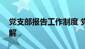 党支部报告工作制度 党支部报告工作制度图解