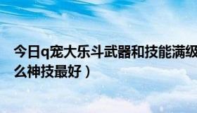 今日q宠大乐斗武器和技能满级武器和攻略（q宠大乐斗2什么神技最好）