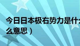 今日日本极右势力是什么（日本极左极右是什么意思）