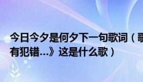 今日今夕是何夕下一句歌词（歌词里有一句，《虽然你并没有犯错…》这是什么歌）