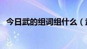 今日武的组词组什么（武组词有哪些词语）