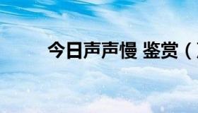 今日声声慢 鉴赏（声声慢的赏析）