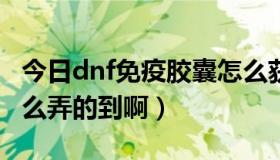 今日dnf免疫胶囊怎么获得（DNF免疫胶囊怎么弄的到啊）