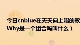 今日cnblue在天天向上唱的歌（今天在天天向上唱TellmeWhy是一个组合吗叫什么）