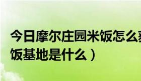 今日摩尔庄园米饭怎么获得金豆（摩尔庄园米饭基地是什么）