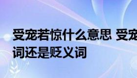 受宠若惊什么意思 受宠若惊什么意思,是褒义词还是贬义词