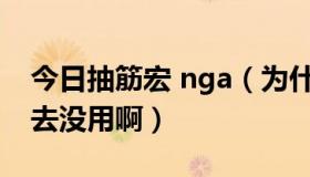 今日抽筋宏 nga（为什么我LR的抽筋宏打进去没用啊）