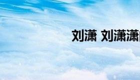 刘潇 刘潇潇的公司）