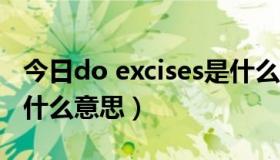 今日do excises是什么意思（do exercise是什么意思）