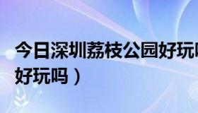 今日深圳荔枝公园好玩吗现在（深圳荔枝公园好玩吗）