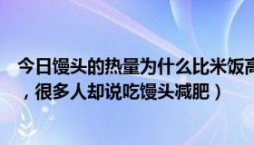 今日馒头的热量为什么比米饭高（为什么馒头比米饭热量高，很多人却说吃馒头减肥）