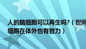 人的脑细胞可以再生吗?（世间万物皆百科：首次证明人脑细胞在体外也有智力）