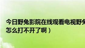 今日野兔影院在线观看电视野兔影视高清完整…（野兔影院怎么打不开了啊）