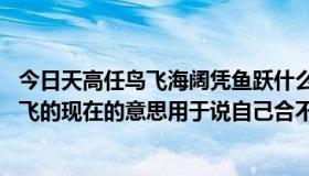 今日天高任鸟飞海阔凭鱼跃什么意思（海阔凭鱼跃,天高任鸟飞的现在的意思用于说自己合不合适是不是有几分傲气）