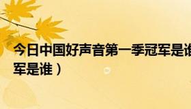 今日中国好声音第一季冠军是谁唱的（中国好声音第一季冠军是谁）