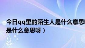 今日qq里的陌生人是什么意思呀怎么设置（QQ里的陌生人是什么意思呀）