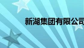 新湖集团有限公司（新湖集团）