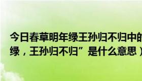 今日春草明年绿王孙归不归中的王孙指的是谁（“春草明年绿，王孙归不归”是什么意思）