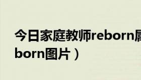 今日家庭教师reborn属性介绍（家庭教师reborn图片）