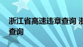 浙江省高速违章查询 浙江省公安局交通违章查询