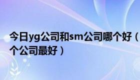 今日yg公司和sm公司哪个好（YG公司 SM公司 JYP公司哪个公司最好）