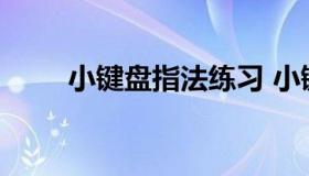 小键盘指法练习 小键盘的指法教程