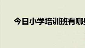 今日小学培训班有哪些（小学培训班）