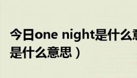 今日one night是什么意思中文（one night 是什么意思）