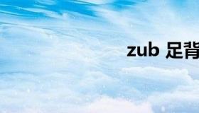 zub 足背动脉