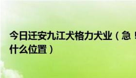 今日迁安九江犬格力犬业（急！！！迁安市九江犬业具体在什么位置）