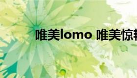 唯美lomo 唯美惊艳的开头结尾）