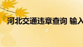 河北交通违章查询 输入车牌号直接查违章